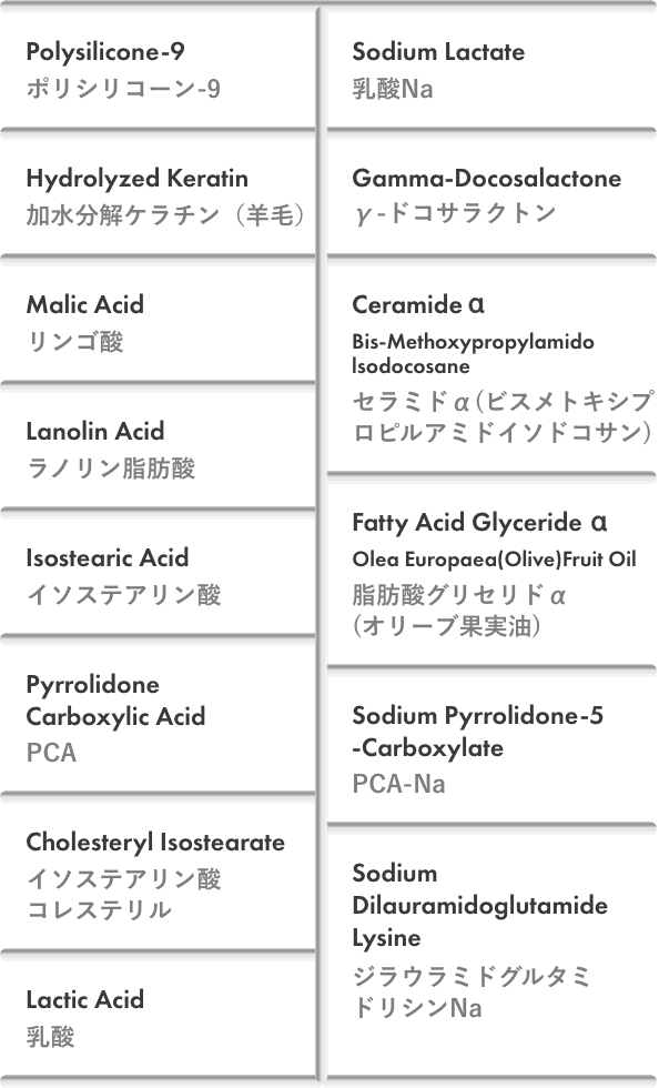 ポリシリコーン-9、加水分解ケラチン(羊毛)、リンゴ酸、ラノリン脂肪酸、イソステアリン酸、PCA、イソステアリン酸コレステリル、乳酸、乳酸Na、γ-ドコサラクトン、セラミドα(ビスメトキシプロピルアミドイソドコサン)、脂肪酸グリセリドα(オリーブ果実油)、PCA-Na、ジラウラミドグルタミドリシンNa