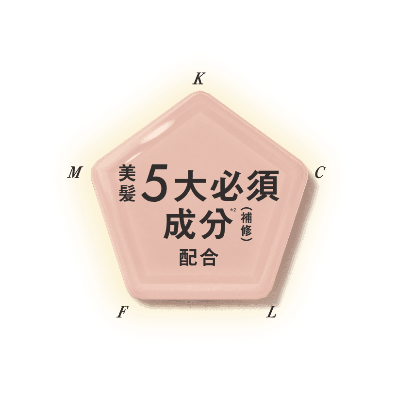 美髪5大必須成分*2(補修)配合