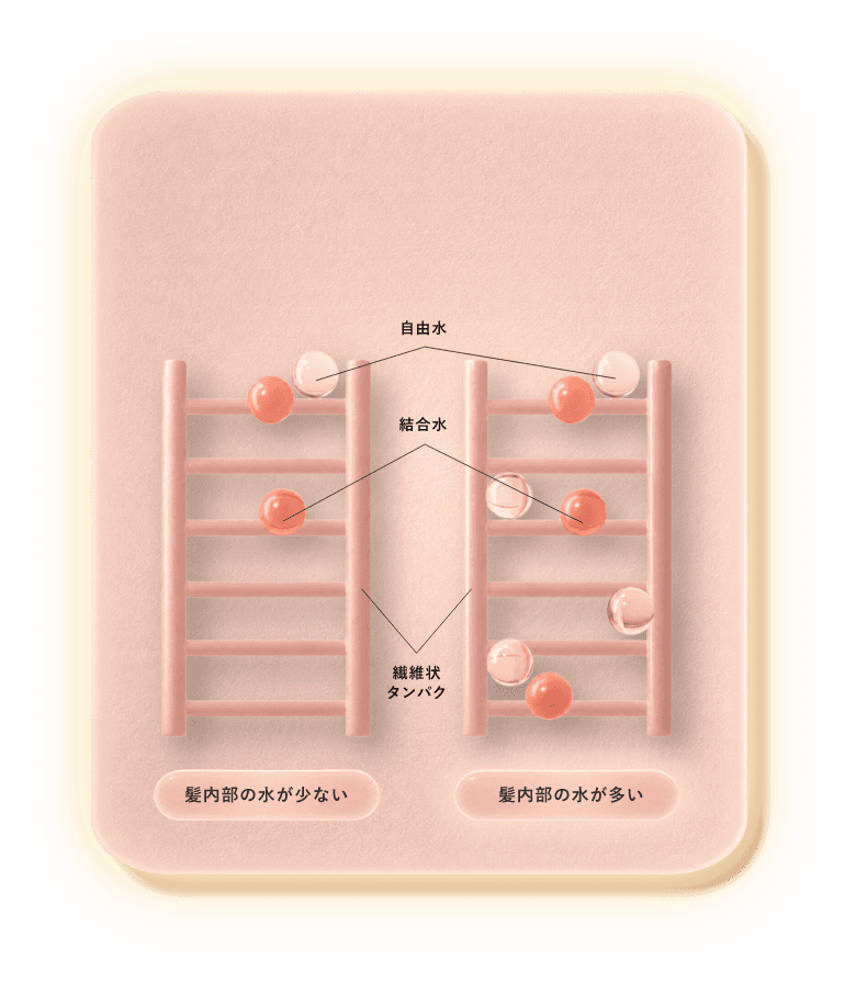 髪内部の水分量の違い