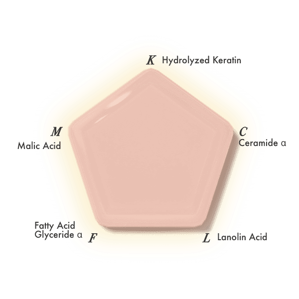 K Hydrolyzed Keratin C Ceramide α L Lanolin Acid F Fatty Acid Glyceride α M Malic Acid