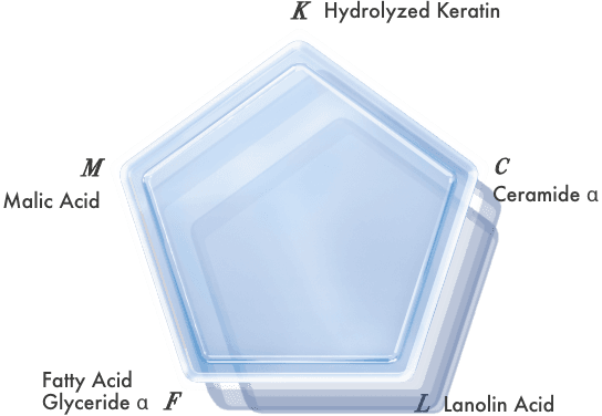 K Hydrolyzed Keratin C Ceramide α L Lanolin Acid F Fatty Acid Glyceride α M Malic Acid