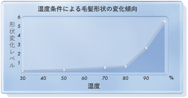 高湿度下で髪の形状は変化しやすくなる