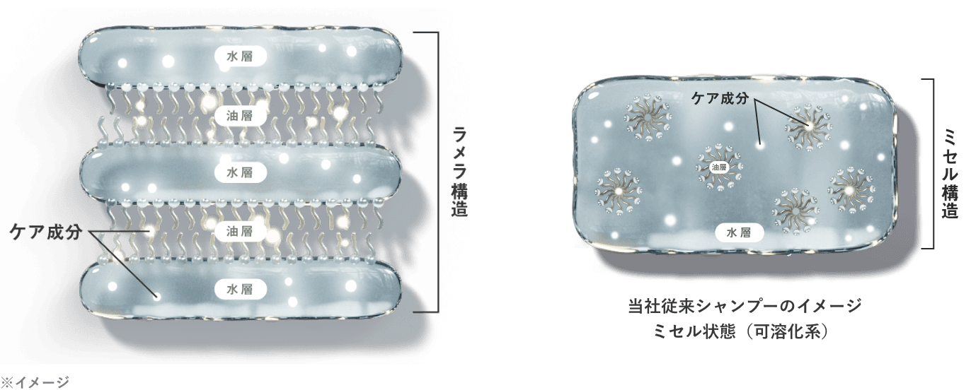 ラメラ構造 ミセル構造 当社従来シャンプーのイメージミセル状態(可溶化系)