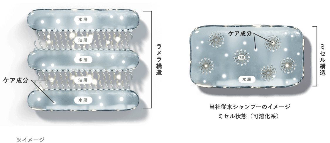 ラメラ構造 ミセル構造 当社従来シャンプーのイメージミセル状態(可溶化系)
